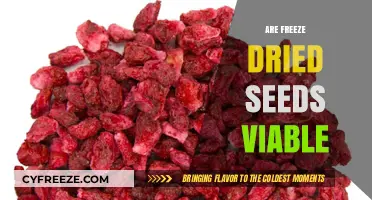 Exploring the Viability of Freeze-Dried Seeds: A Comprehensive Guide