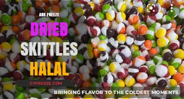 Exploring the Halal Status of Freeze-Dried Skittles: A Comprehensive Guide