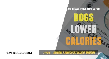 Exploring the Caloric Content of Freeze-Dried Dog Snacks