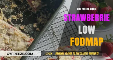 Exploring Low FODMAP Diets: Are Freeze-Dried Strawberries a Safe Choice?