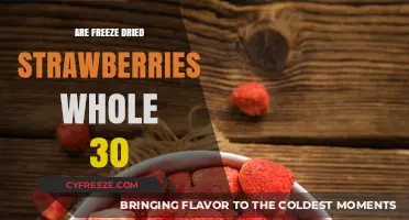 Exploring the Whole30 Diet: Are Freeze-Dried Strawberries Compliant?