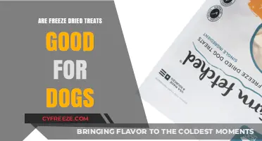 Are Freeze-Dried Treats a Healthy Choice for Your Dog?