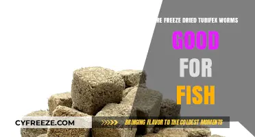Boosting Fish Health: The Benefits of Freeze-Dried Tubifex Worms