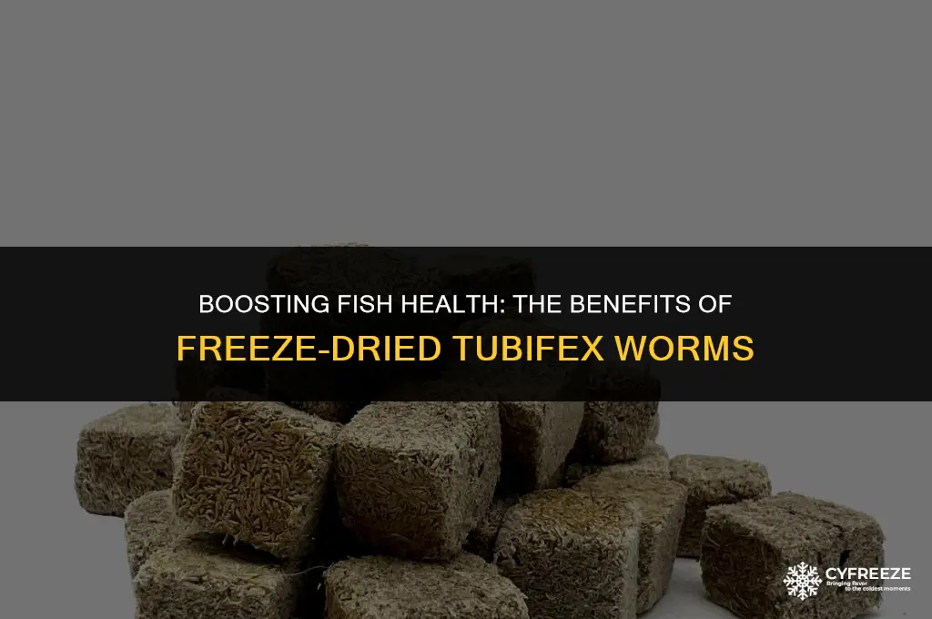 are freeze dried tubifex worms good for fish