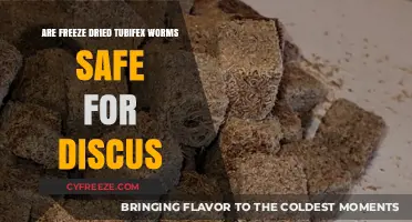 Exploring the Safety of Freeze-Dried Tubifex Worms for Discus Fish