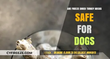 Gobble Up Safety: Freeze-Dried Turkey Necks for Dogs?