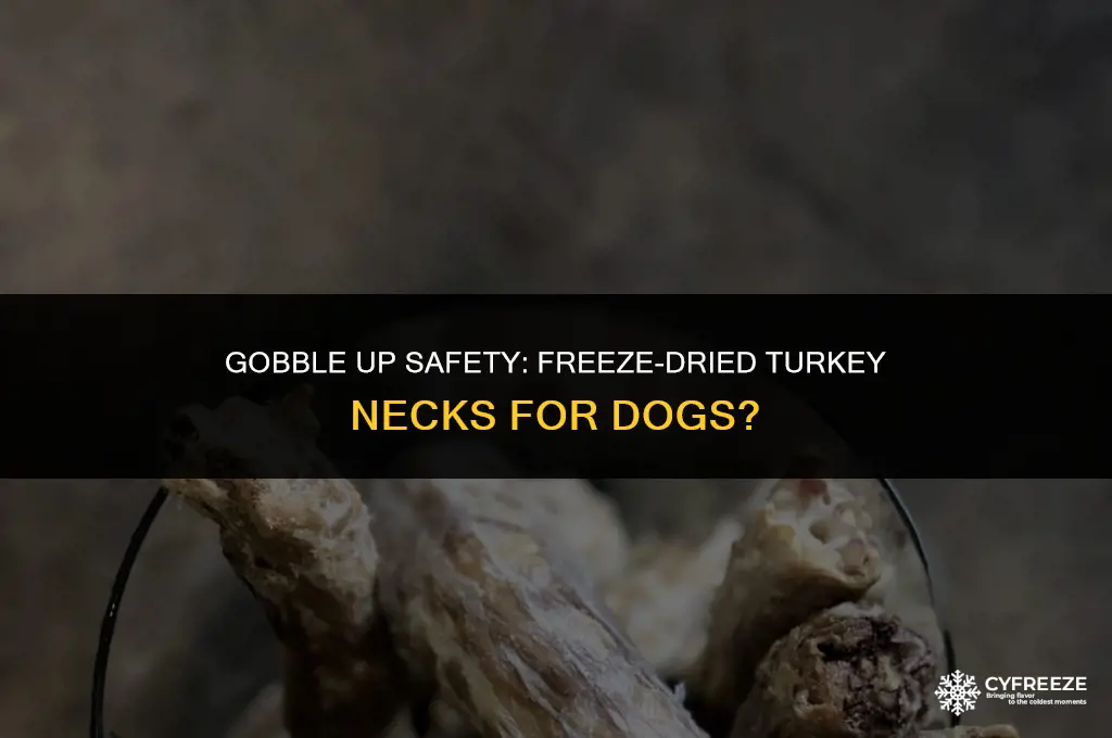 are freeze dried turkey necks safe for dogs