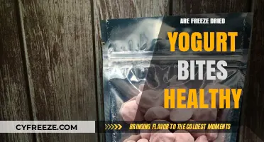 Exploring the Health Benefits of Freeze-Dried Yogurt Bites