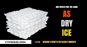 Exploring the Chill: Freeze Paks vs. Dry Ice - What's the Difference?