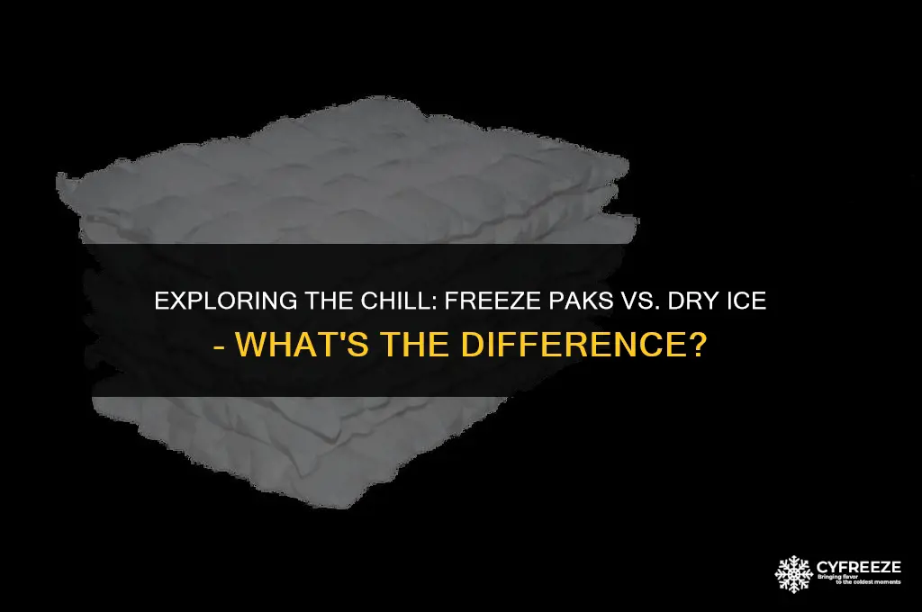 are freeze pak the same as dry ice