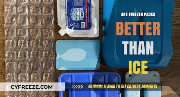 Chill Debate: Freezer Packs vs. Ice - Which Keeps Your Lunch Cooler?