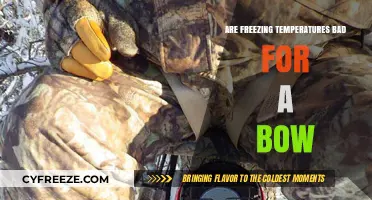 Freezing Temperatures and Bows: Impact on Performance and Durability