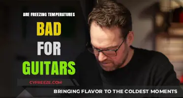 Freezing Temperatures and Guitars: Potential Risks and How to Protect Your Instrument