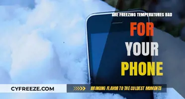 Freezing Temps and Phones: What You Need to Know
