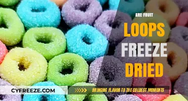 The Truth About Fruit Loops: Are They Really Freeze-Dried?