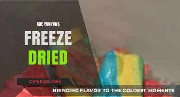 Exploring the Crunchy World: Are Funyuns Freeze-Dried?