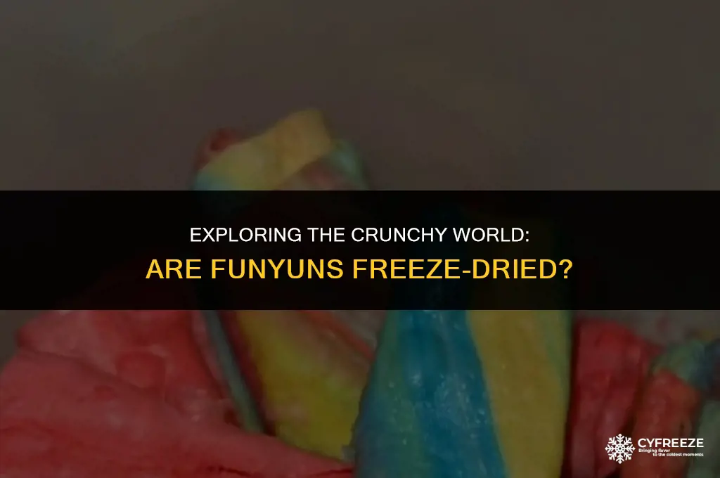 are funyuns freeze dried