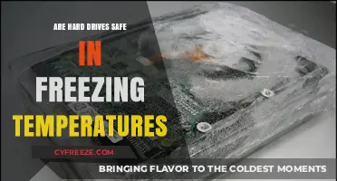 Freezing Temps and Hard Drives: Are Your Data Storage Safe?