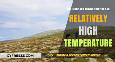 Tough Plants: Thriving in Extreme Cold and Hot Climates