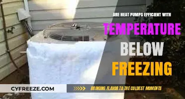 Heat Pumps in Freezing Temps: Efficiency Myths Debunked