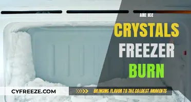 The Chill Truth: Understanding Ice Crystals and Freezer Burn