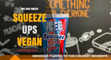 Chill Treats: Exploring the Vegan Status of Icee Freeze Squeeze Ups