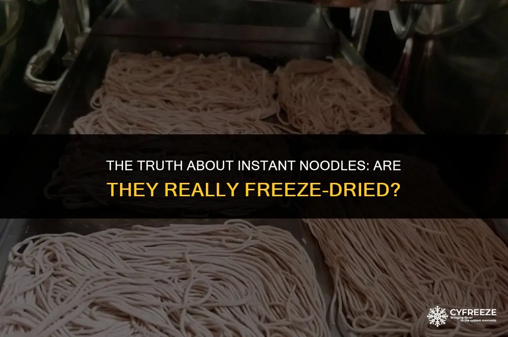 are instant noodles freeze dried