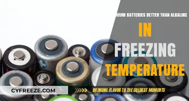 Lithium vs Alkaline: Which Battery Performs Better in Freezing Temps?