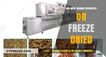 The Dehydration Dilemma: Mealworms - Freeze-Dried or Dehydrated?