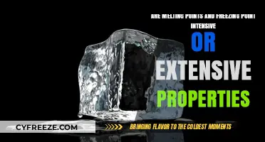 Melting and Freezing Points: Intensive or Extensive Properties Explained