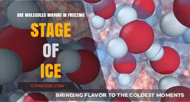 Molecular Motion in Ice: Unveiling the Freezing Stage Dynamics