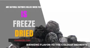 Preserving Nature's Catalysts: The Freeze-Drying Enigma Unveiled