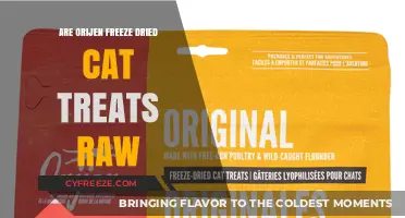 Exploring the Raw Appeal of Orijen Freeze-Dried Cat Treats