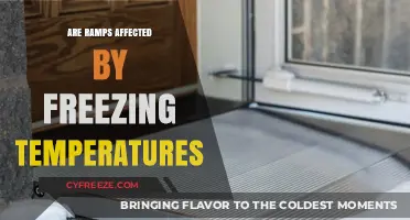 How Freezing Temperatures Impact Ramp Functionality and Safety