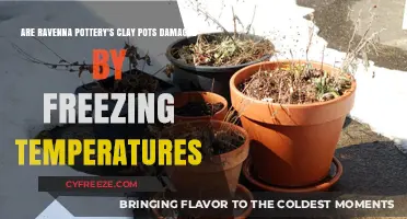 Can Ravenna Pottery's Clay Pots Survive Freezing Temperatures Without Damage?