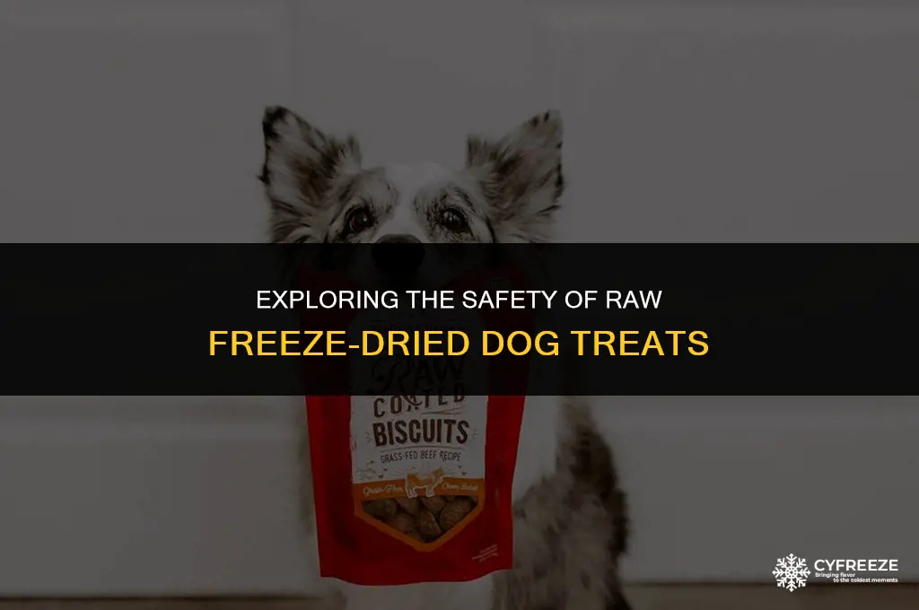 are raw freeze dried treats safe for dogs