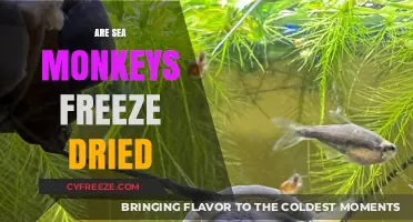 The Truth About Sea Monkeys: Are They Really Freeze-Dried?