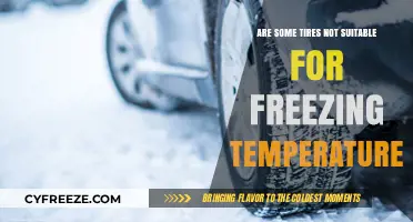Winter Tire Warning: Are Your Tires Safe in Freezing Temps?