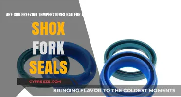 Sub-Freezing Temps: Impact on Rock Shox Fork Seals Explained
