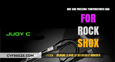 Sub-Freezing Temps: Impact on Rock Shox Performance and Durability