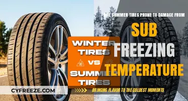 Summer Tires in Winter: Risks of Sub-Freezing Damage Explained