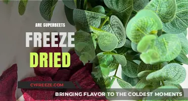 Exploring the Benefits and Uses of Freeze-Dried Superbeets