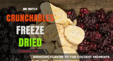 Exploring the Crunch: Are Freeze-Dried Snacks the Next Big Thing?