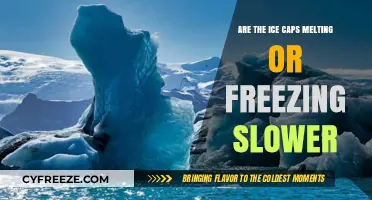 Polar Ice Caps: Melting or Freezing at a Slower Pace?