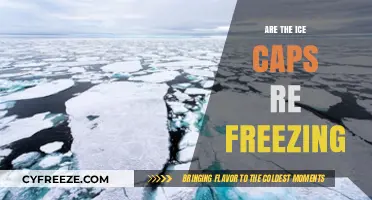 Are the Ice Caps Re-Freezing? A Deep Dive into Climate Trends