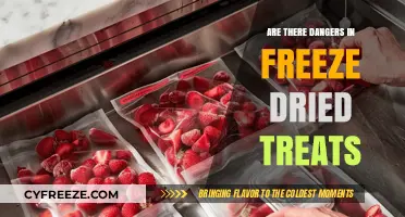 Exploring the Hidden Dangers of Freeze-Dried Treats