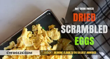 Discover the Convenience: Freeze-Dried Scrambled Eggs Explained