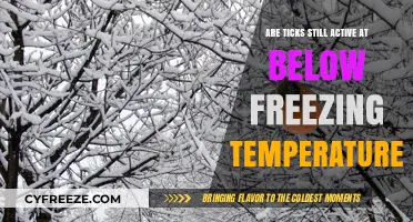 Do Ticks Survive and Remain Active in Freezing Winter Weather?