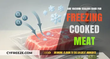 Preserve Freshness: The Benefits of Vacuum Sealing Cooked Meat for Freezing