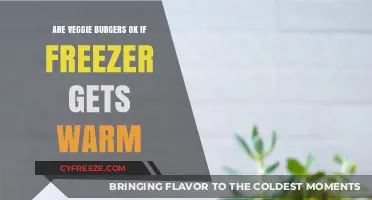 Can Veggie Burgers Survive a Warm Freezer? Safety Tips Revealed
